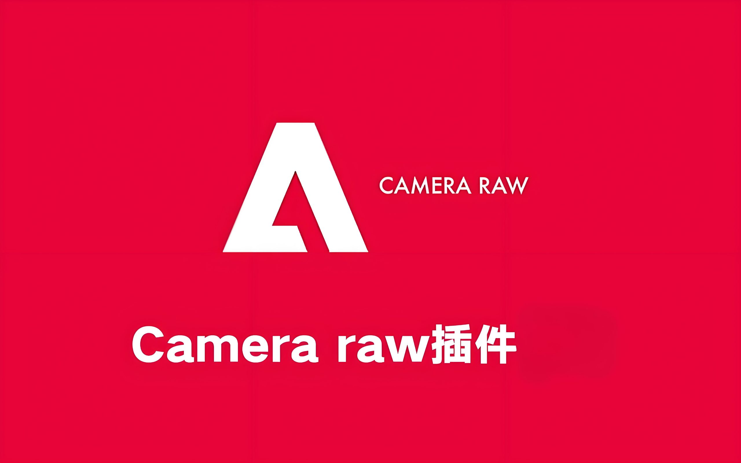 Adobe Camera Raw 16.0 WIN版